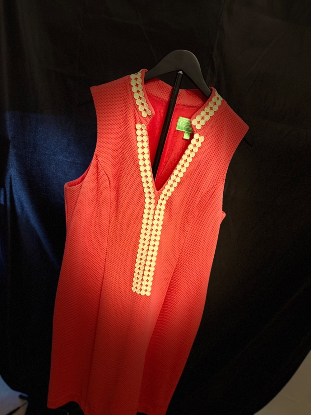Like New Pappagallo Summer Dress (14)